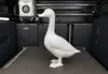 One-Color - 0.2mm layer, 2 walls, 15% infill