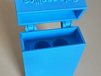 Oral-B brush case
