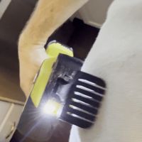 0.12mm layer, 2 walls, 15% infill