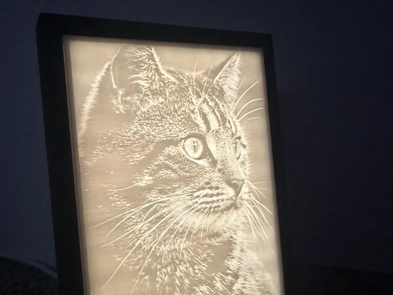 Cat Lithophane with Fixed Frame