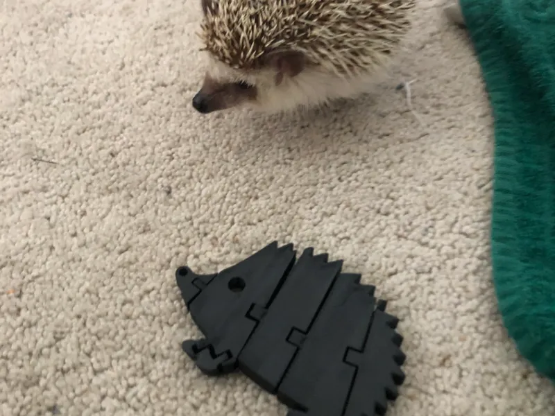 Flexi Hedgehog