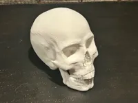 Human Skull - 0.2mm layer, 2 walls, 15% infill