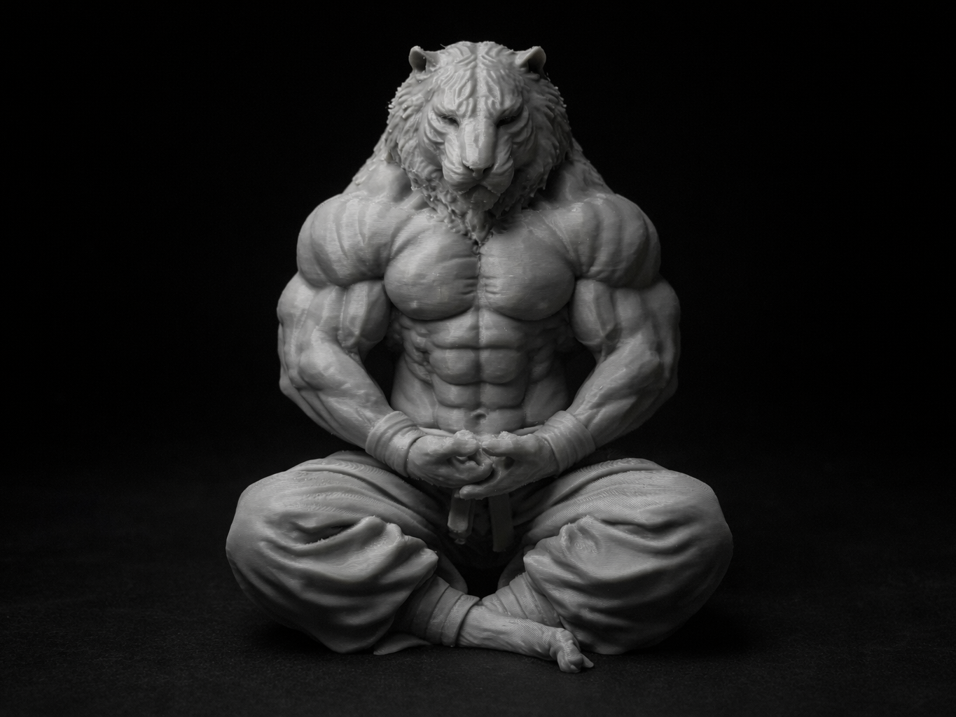 Tigre Ascendant - Discipline et Puissance