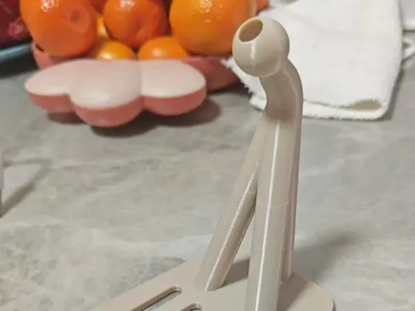 https://makerworld.bblmw.com/makerworld/model/USb7188c989460a5/design/efd146ab-da20-44ea-8f20-eff52d61e5df.webp