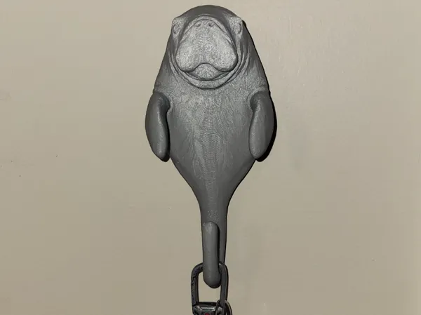 https://makerworld.bblmw.com/makerworld/model/USb71c26a471962c/design/0b647d7acdf42b8d.jpg