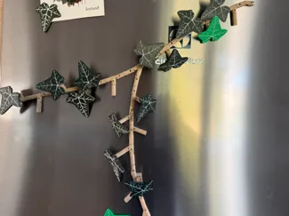 Ivy fridge magnets