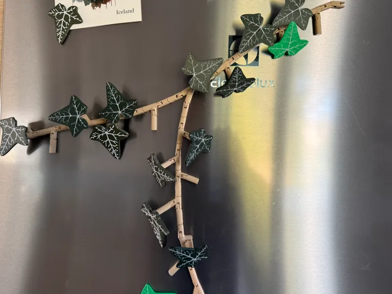 Ivy fridge magnets