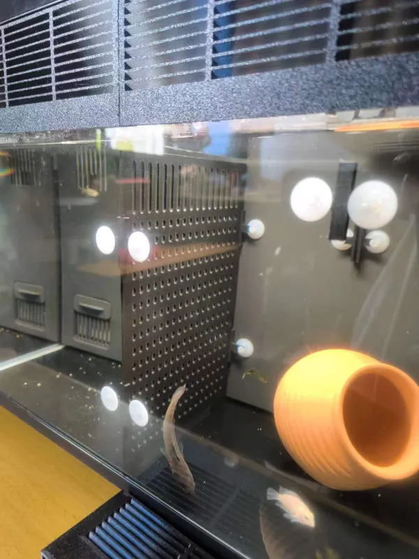 https://makerworld.bblmw.com/makerworld/model/USb720eecac49234/design/2024-05-07_e82d3aee711fc.jpg