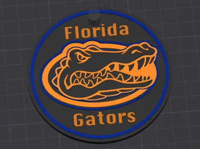 Florida Gators BagTag Keychain Customizable 