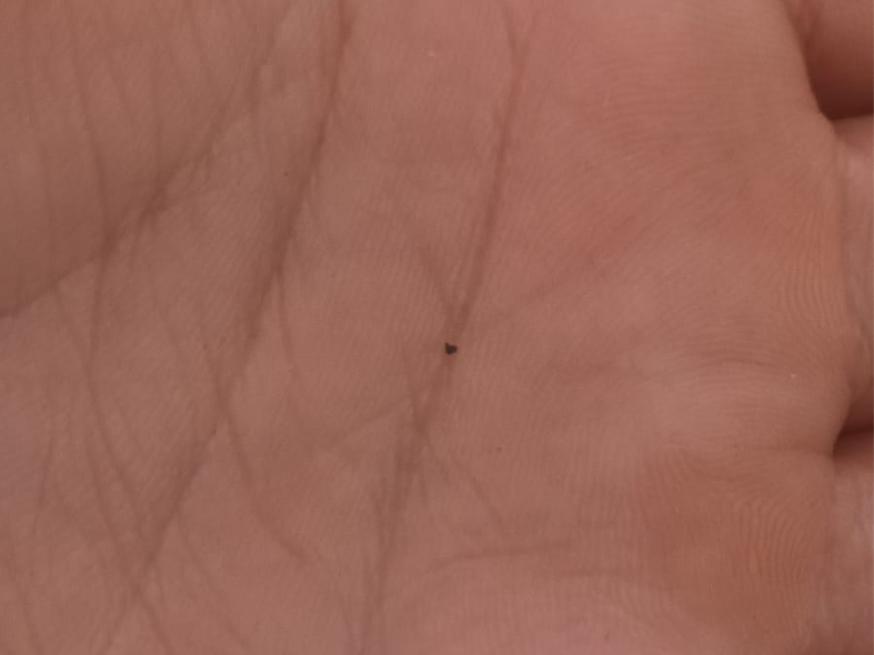 The World’s Smallest Printable Object