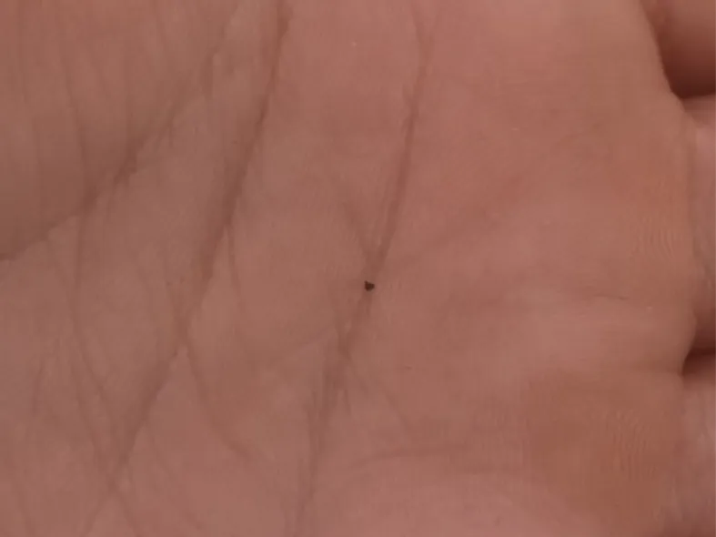 The World’s Smallest Printable Object