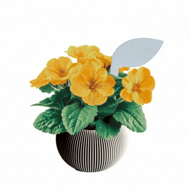 Cartel Identificador de plantas · Hoja decorativa