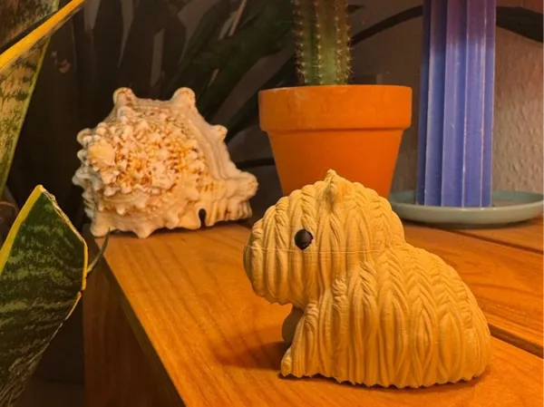https://makerworld.bblmw.com/makerworld/model/USb7419d2a53c76c/design/2025-01-14_55feb942ea8c.jpeg