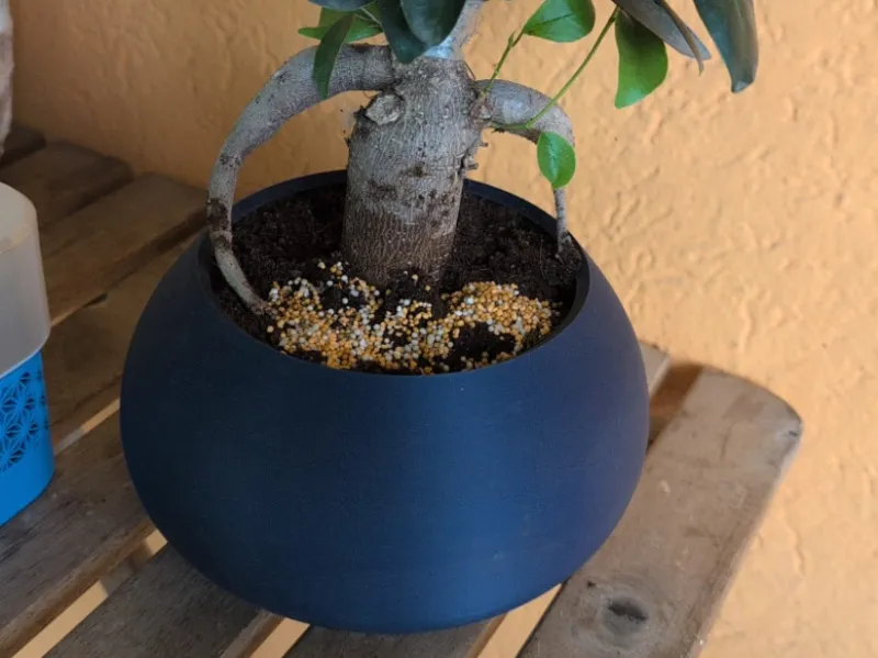 Vaso per bonsai altezza 10 cm 