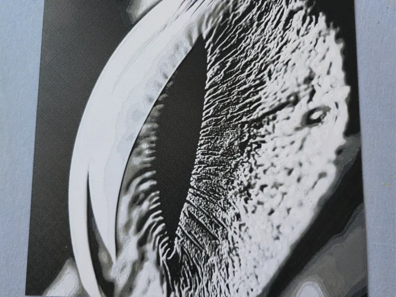 Auge_8