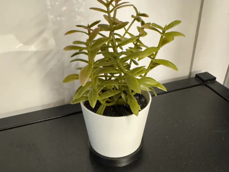 Halterung FEJKA mini Blumen IKEA magnetisch ENHET