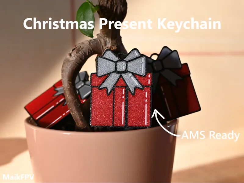 Regalo Di Natale Portachiavi - AMS Ready