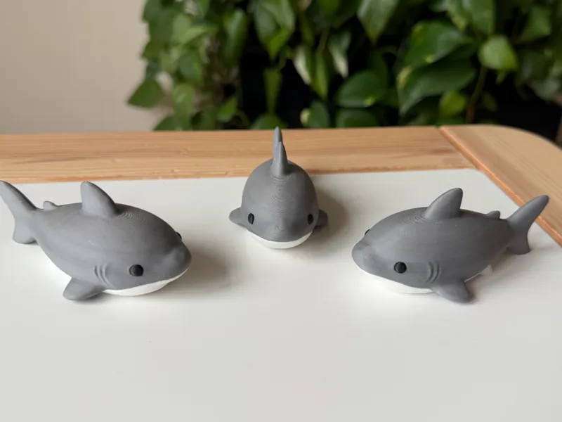Shark