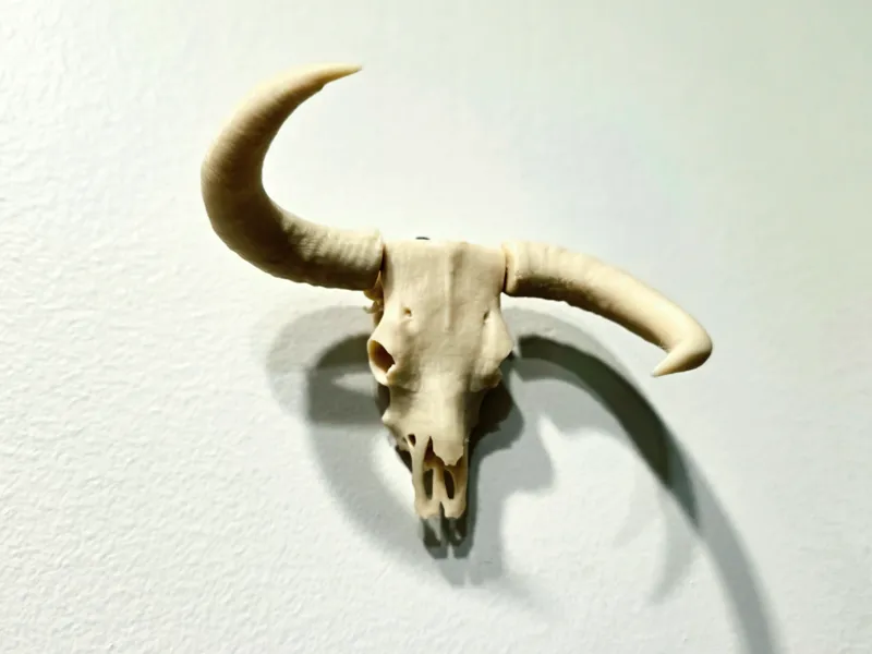 Bull Skull - 360 Rotation Horns