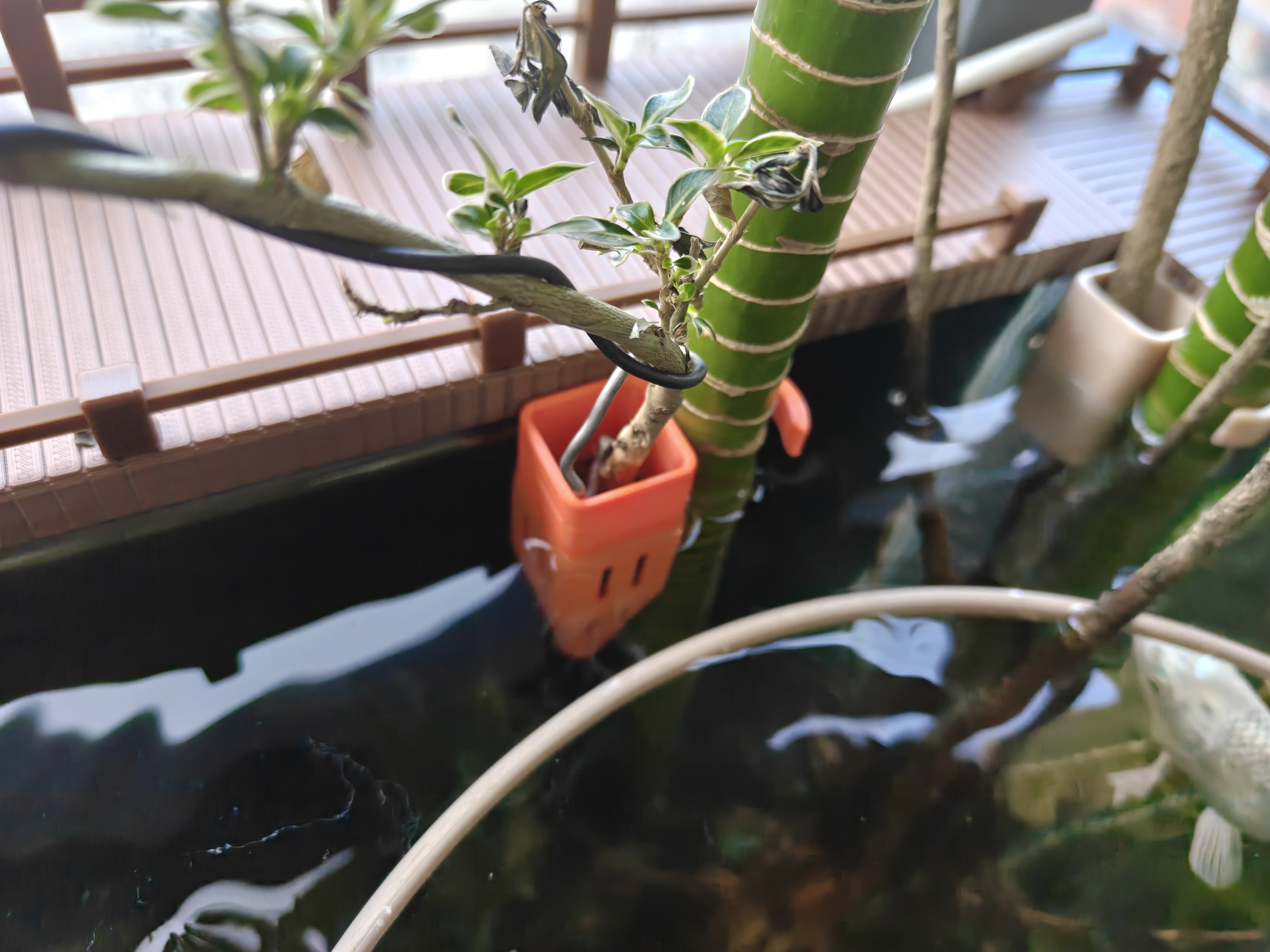 Miniatura 1 do modelo 3D 鱼缸防跳边