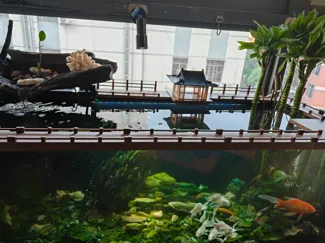 鱼缸防跳边