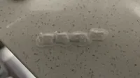 0.2mm 层高, 2 层墙, 15% 填充