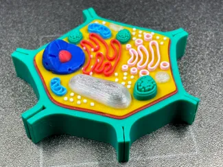 Plant Cell