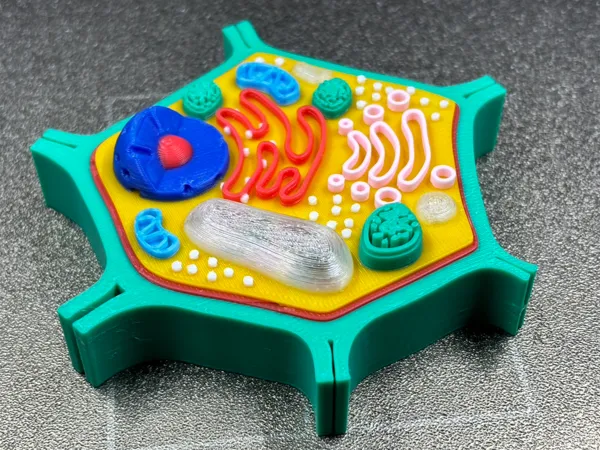 https://makerworld.bblmw.com/makerworld/model/USb7616ba95291ef/design/2025-01-12_fef1ca3644612.jpg