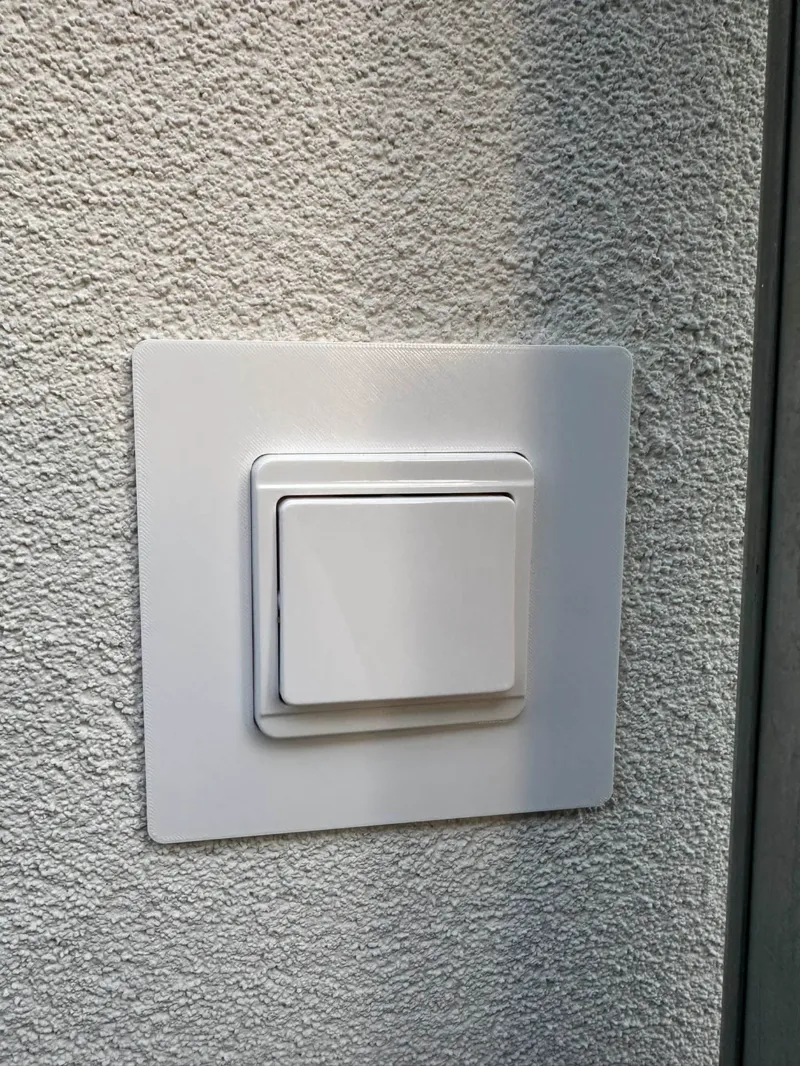 Switch frame