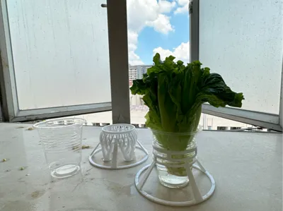 Plant Hydroponics Stand/Disposable Cup Holder