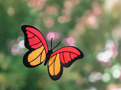 Sunny Butterfly