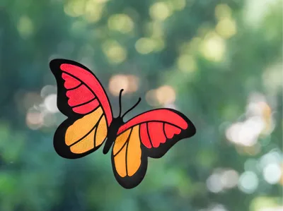 Sunny Butterfly