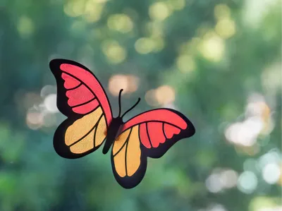 Sunny Butterfly