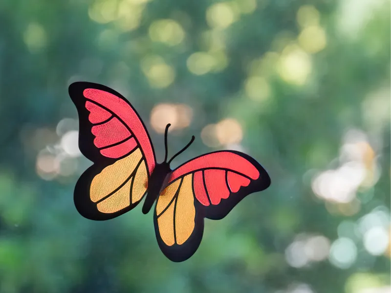 Sunny Butterfly