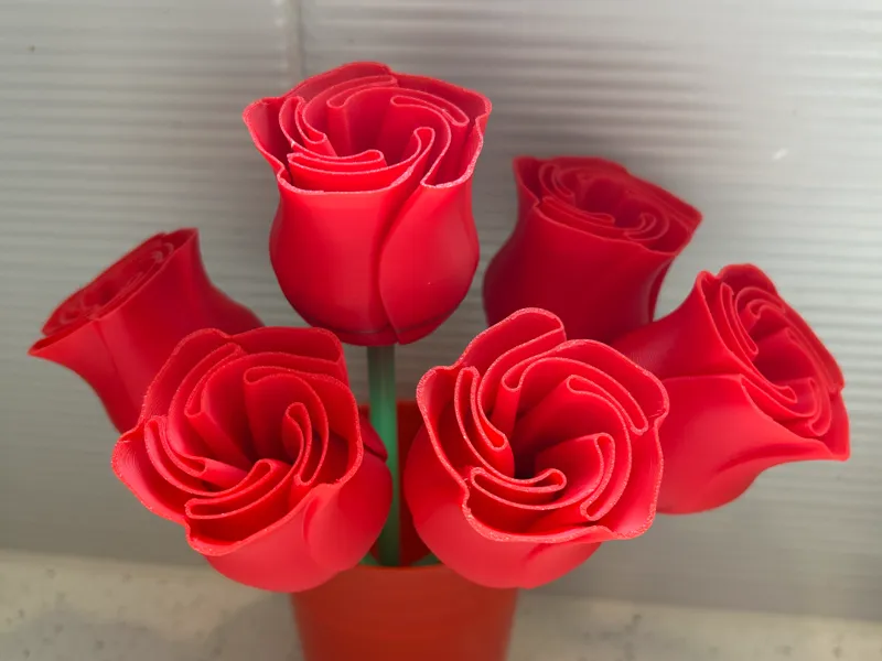 Rose Print in Place Long Stem without Thorns