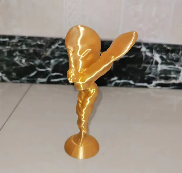 https://makerworld.bblmw.com/makerworld/model/USb76746fccc6a60/design/2024-08-13_bdaad0f575624.jpg