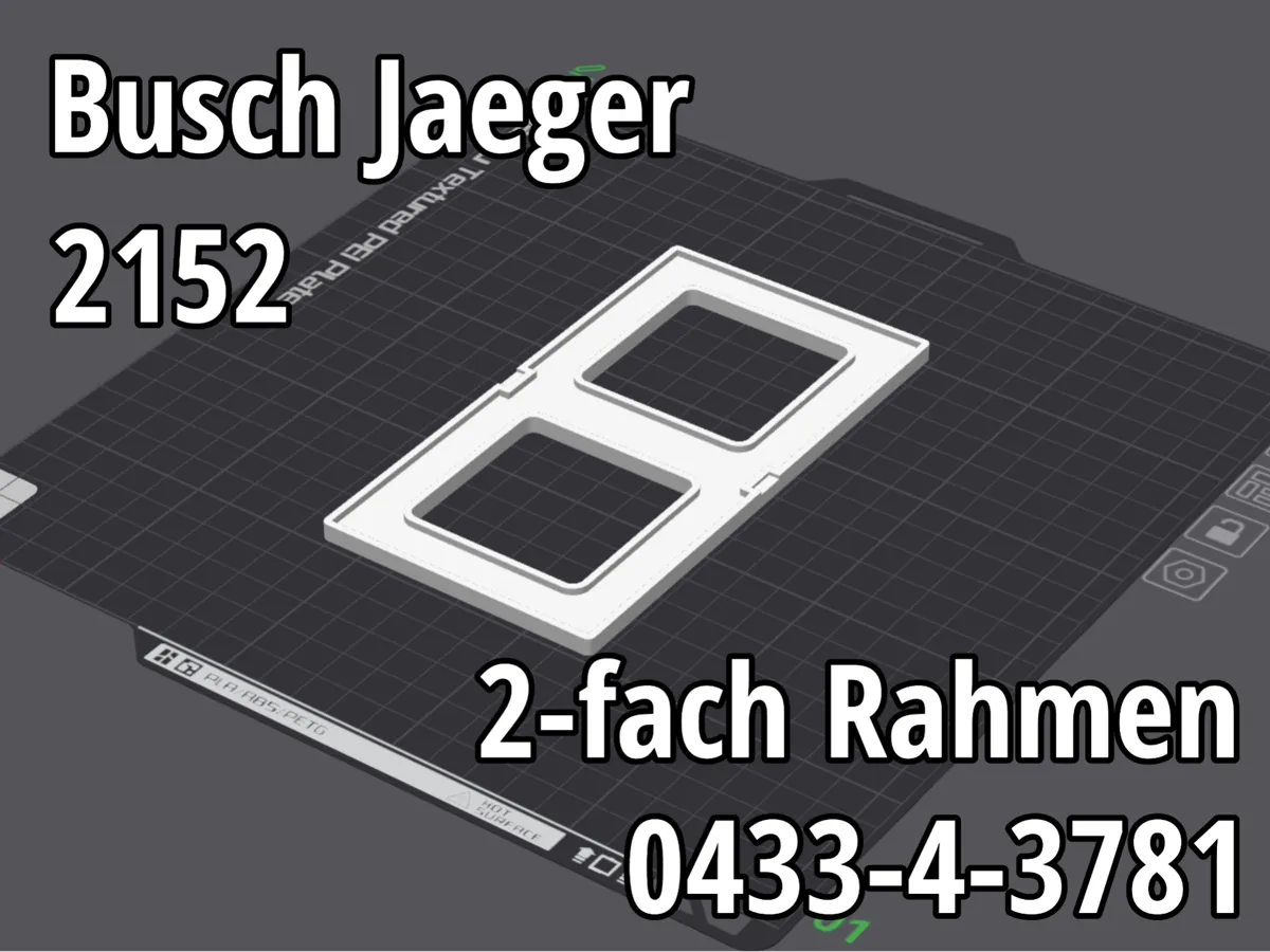 Cadre 2 postes pour interrupteur Busch-Jaeger