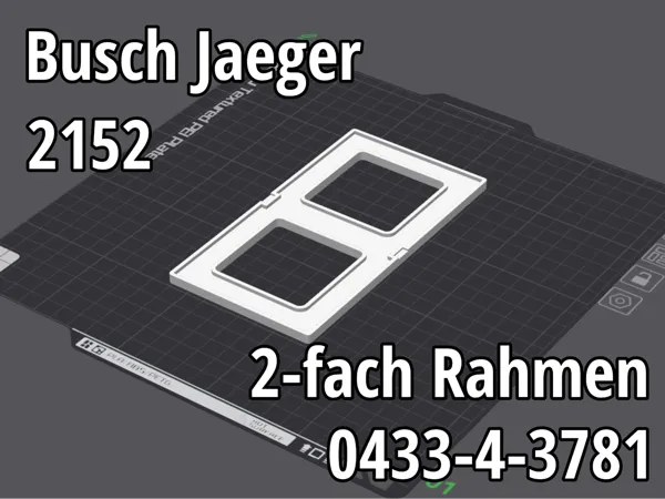 Cadre 2 postes pour interrupteur Busch-Jaeger