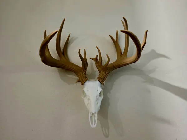 https://makerworld.bblmw.com/makerworld/model/USb7722c56e02d82/design/de30d8108938b5aa.jpg
