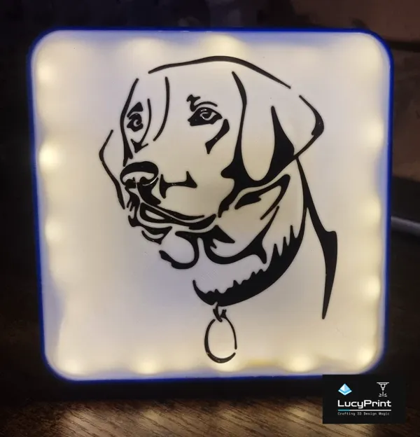 https://makerworld.bblmw.com/makerworld/model/USb77316a6ccd9f1/design/2024-05-08_cade4fe2997f4.jpg