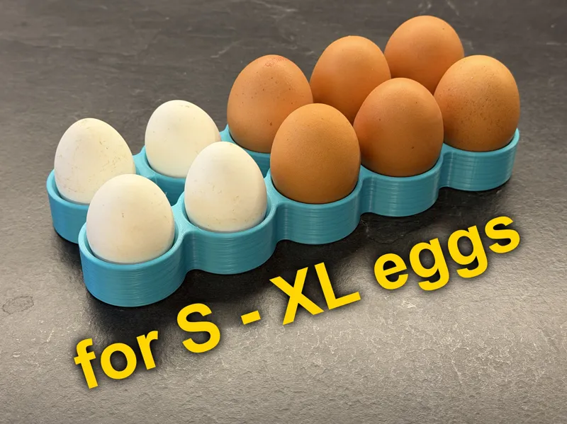 Smooth Egg Holder S-XL