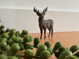 Deer (Reindeer)