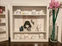 Modular Display Cabinet - Shelf