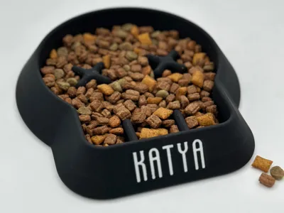 CUSTOMIZABLE CAT SKULL SLOW FEEDER