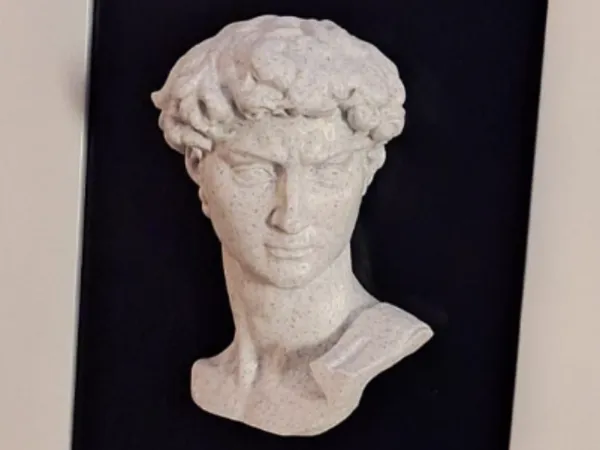 Buste de David de Michel-Ange