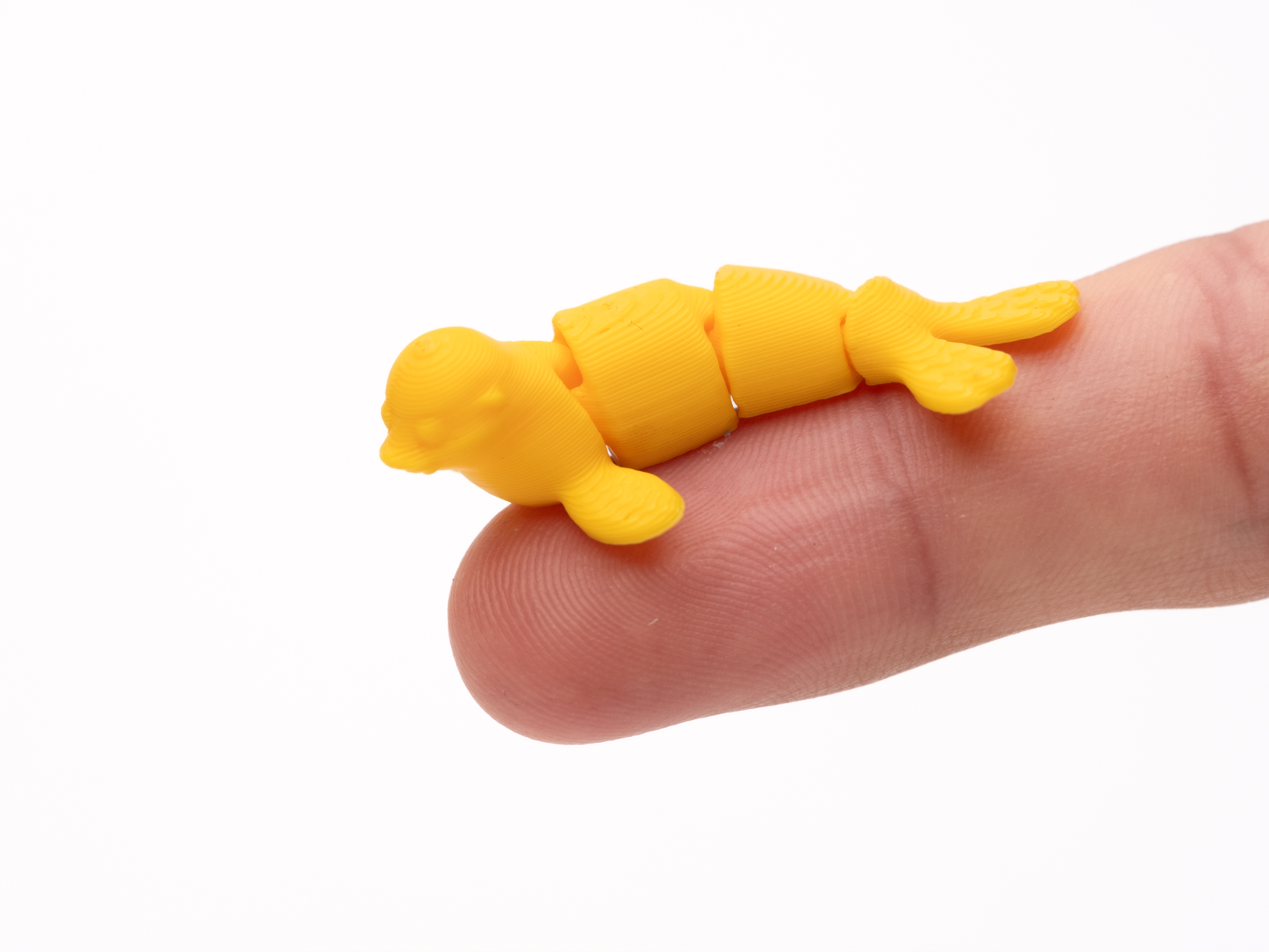 Mini Seal - 1