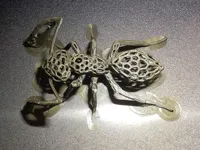 Fourmi style Voronoi — photo 3