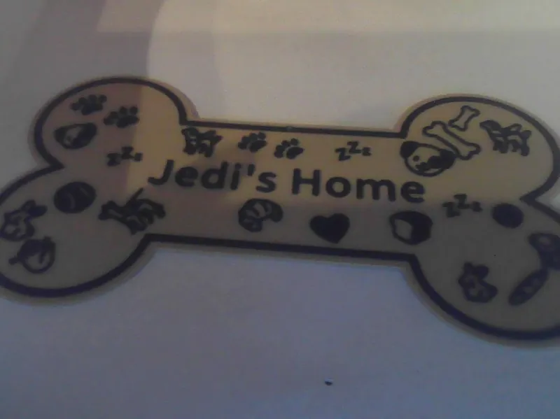 dog home plate