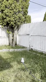 Rocket Sprinkler Spray view 2