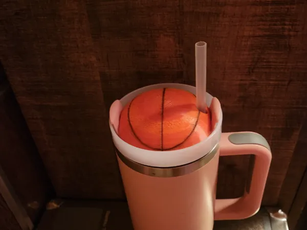 https://makerworld.bblmw.com/makerworld/model/USb792b7a5ad4452/design/2025-06-09_010a3c2dfc368.jpg